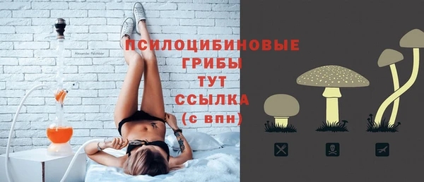 спиды Пересвет