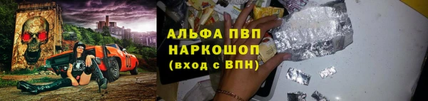 хмурый Абаза