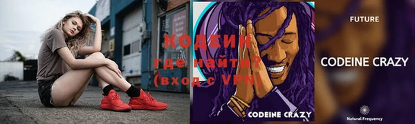 спиды Пересвет