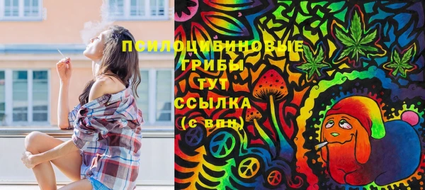 хмурый Абаза