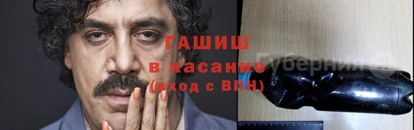 хмурый Абаза