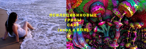 хмурый Абаза