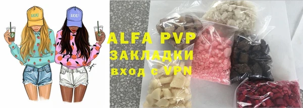 хмурый Абаза