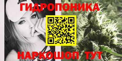 сатива Пугачёв