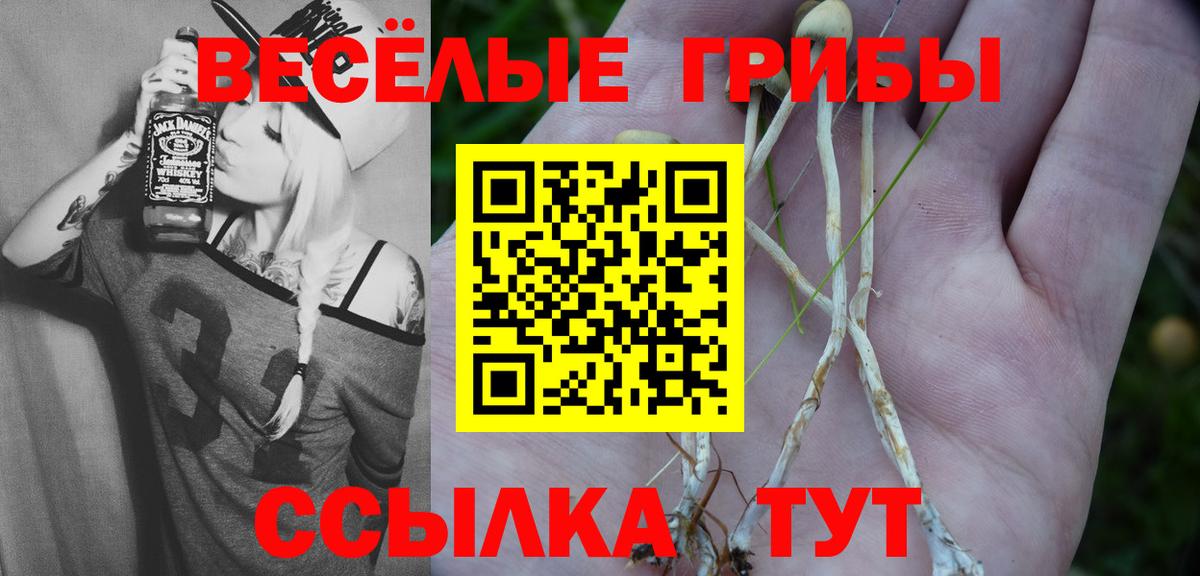 Псилоцибиновые грибы Magic Shrooms Карасук